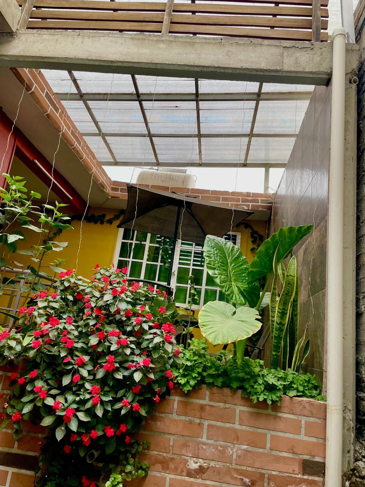 Hidden House Apartment เม็กซิโกซิตี้ ภายนอก รูปภาพ
